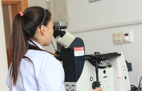 研究開發(fā)與技術咨詢 協(xié)同驅動創(chuàng)新與商業(yè)價值